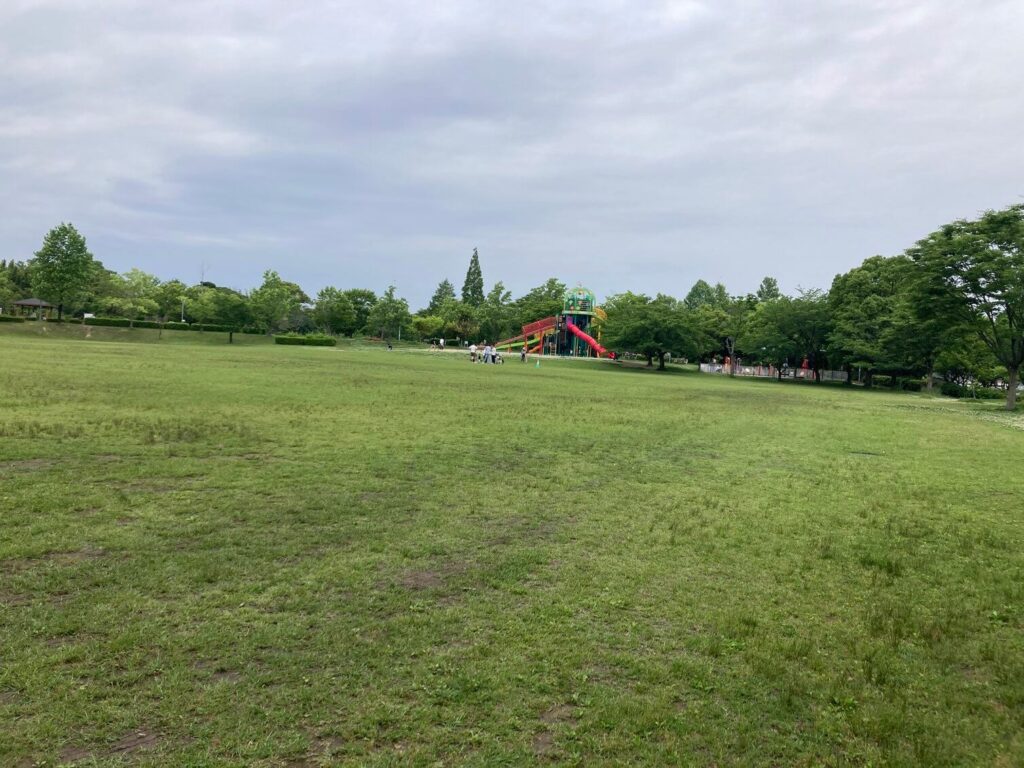 lawn