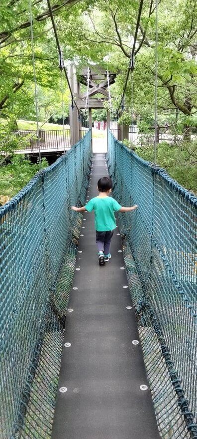 bridge