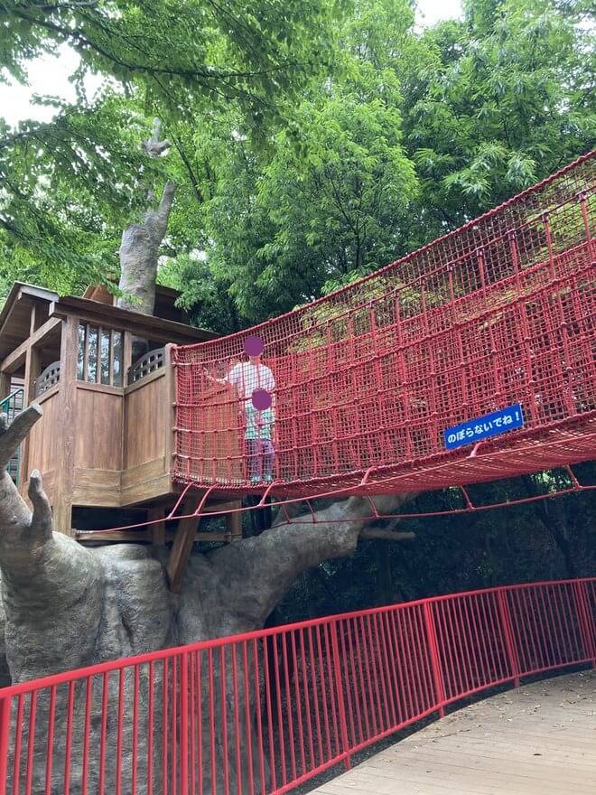 大樹の吊り橋