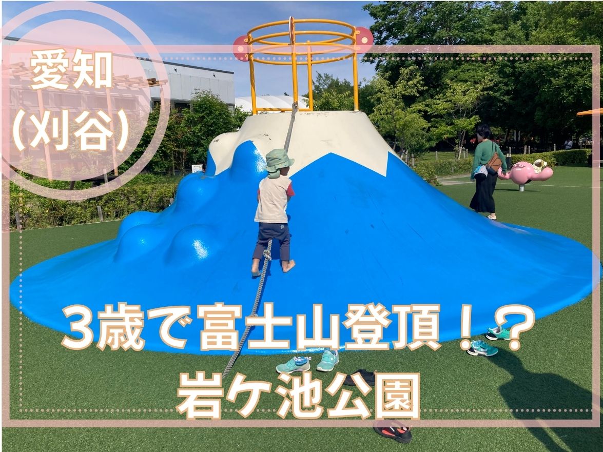 刈谷ハイウェイオアシスの岩ケ池公園にある富士山型滑り台で遊ぶ息子