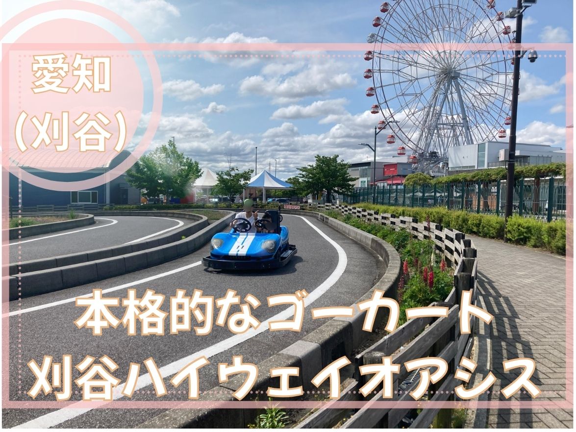 刈谷ハイウェイの岩ケ池公園でゴーカートを乗りこなす