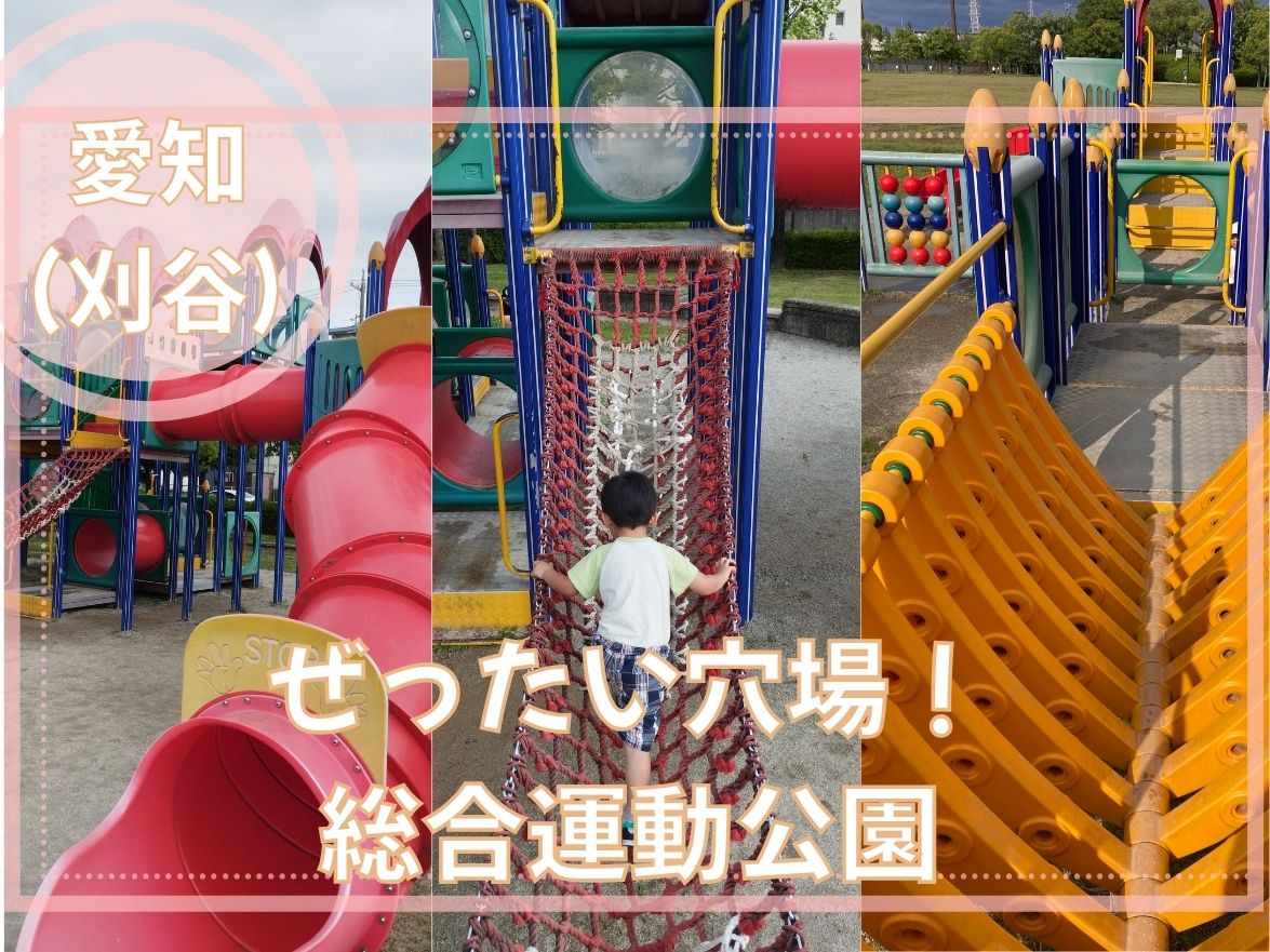 刈谷総合運動公園の遊具で遊ぶ息子