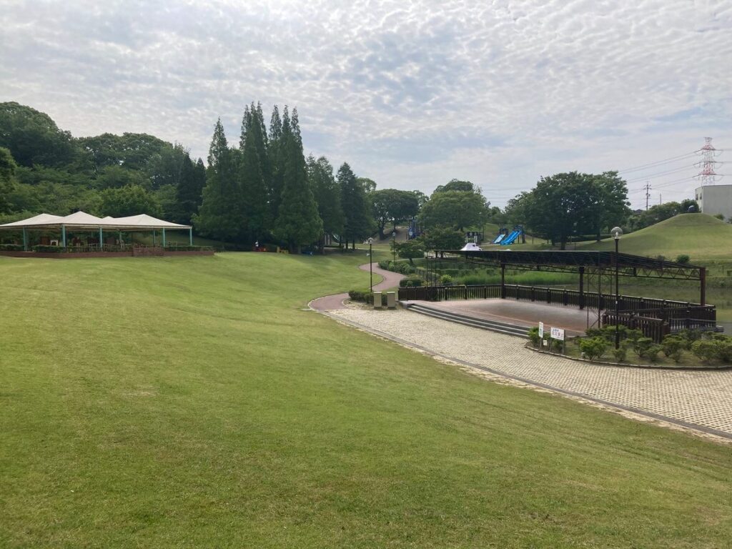 lawn