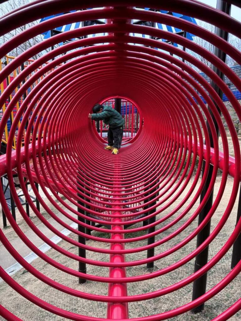 於大公園　忍者遊具