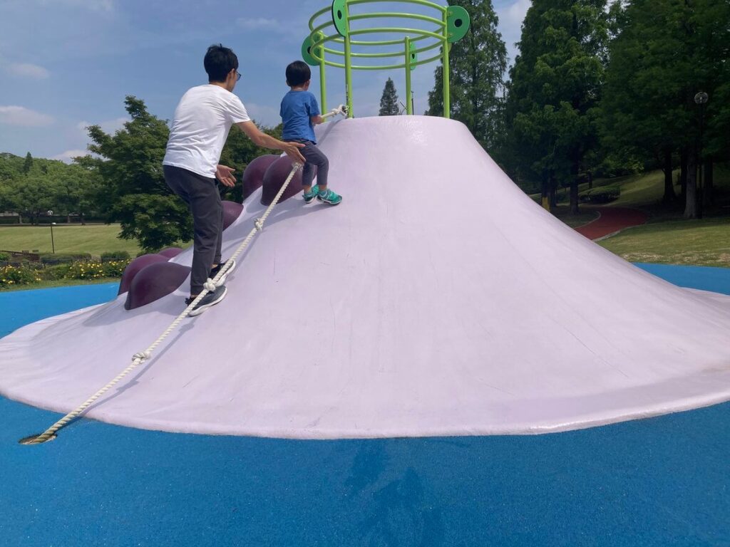 mountain slider