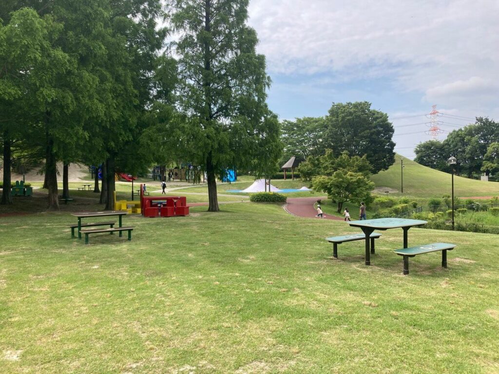 lawn