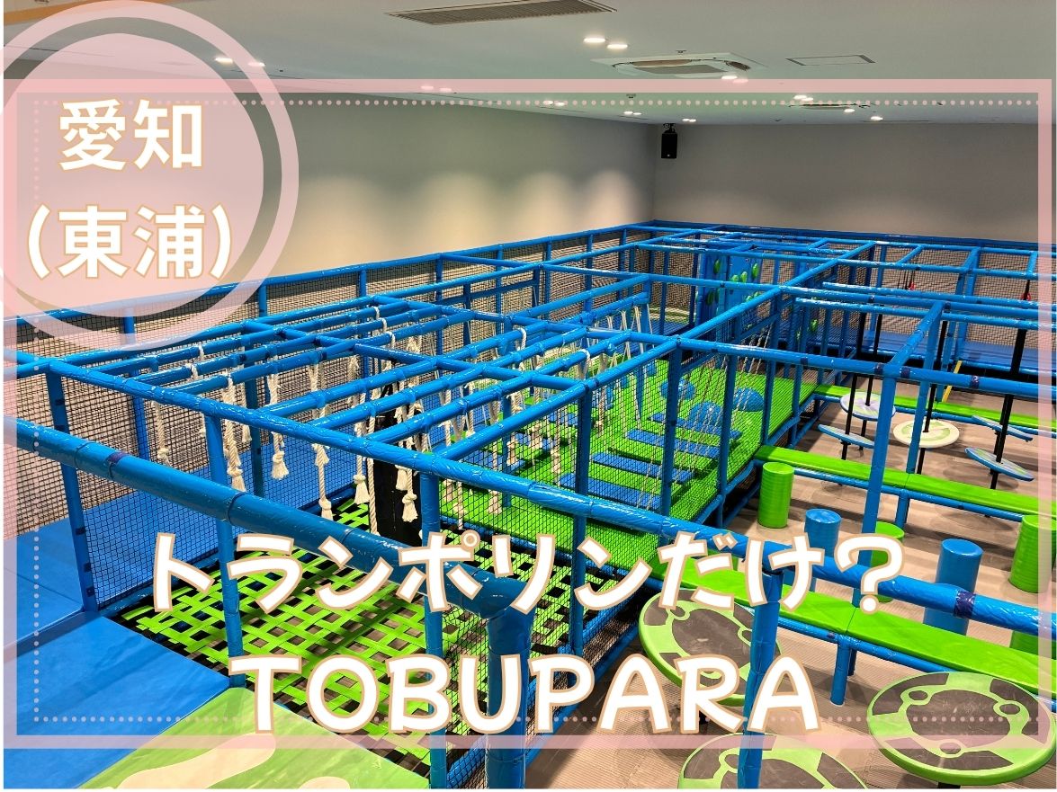 東浦のTOBUPARAでトランポリン以外のアトラクションを遊ぶ