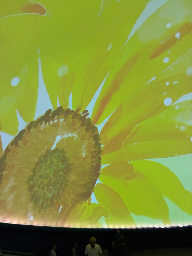 プラネタリウムで上映前に映し出されたキレイなひまわり
