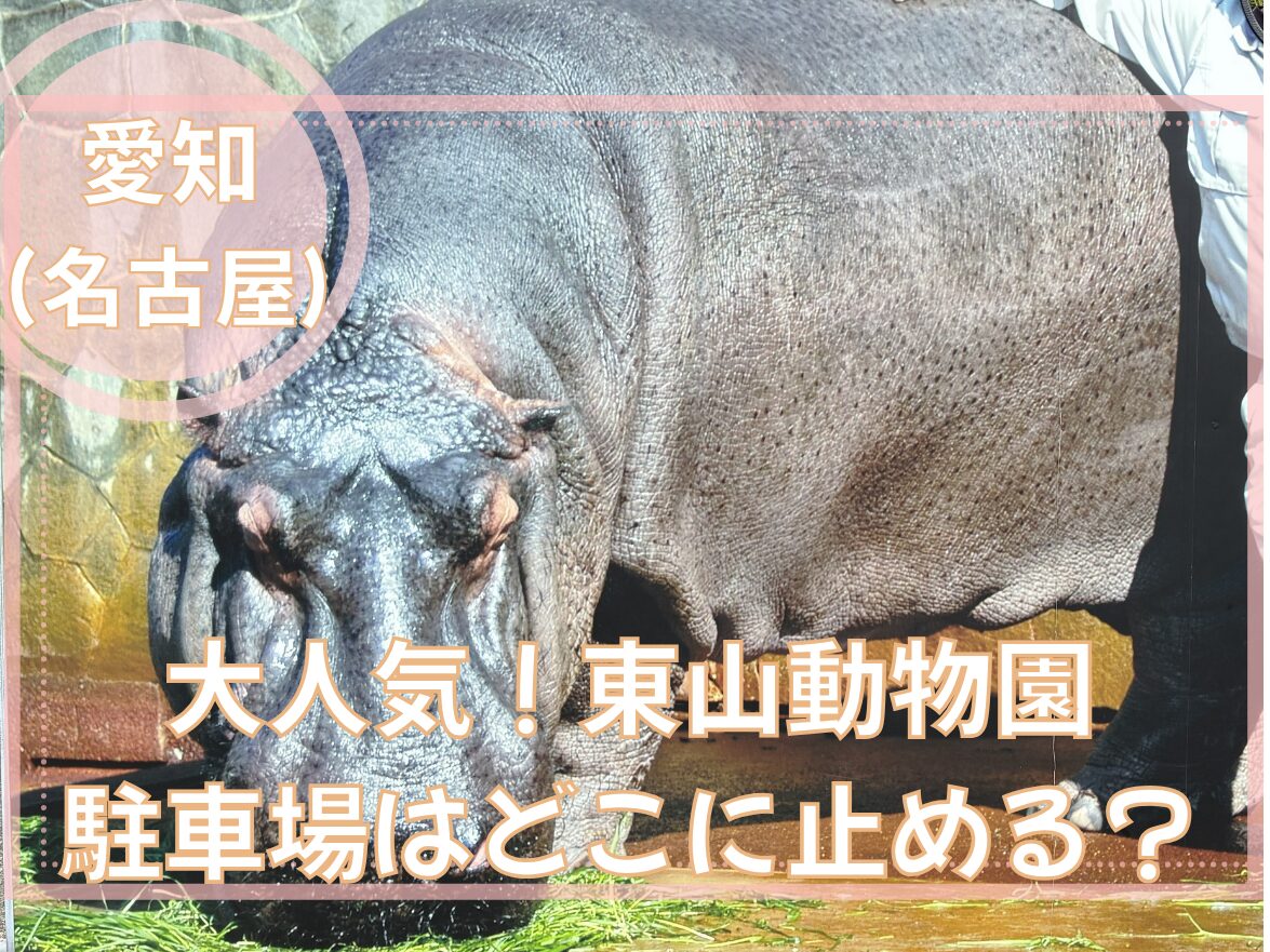東山動物園