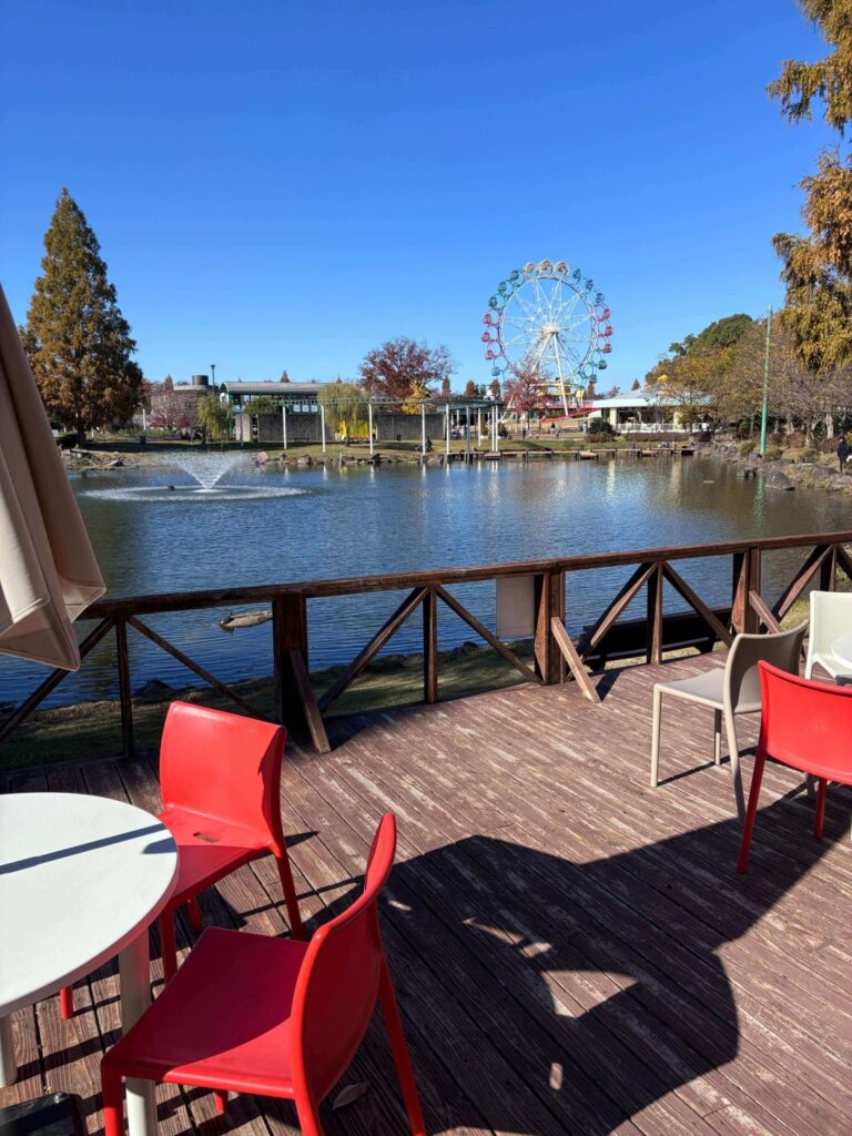 安城市堀内公園の観覧車を眺めながら休憩できる机といす