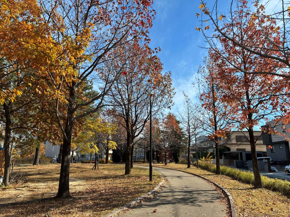 ミササガパークの遊歩道