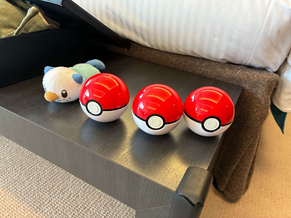 ミジュマルルームで見つけたモンスターボール3つ