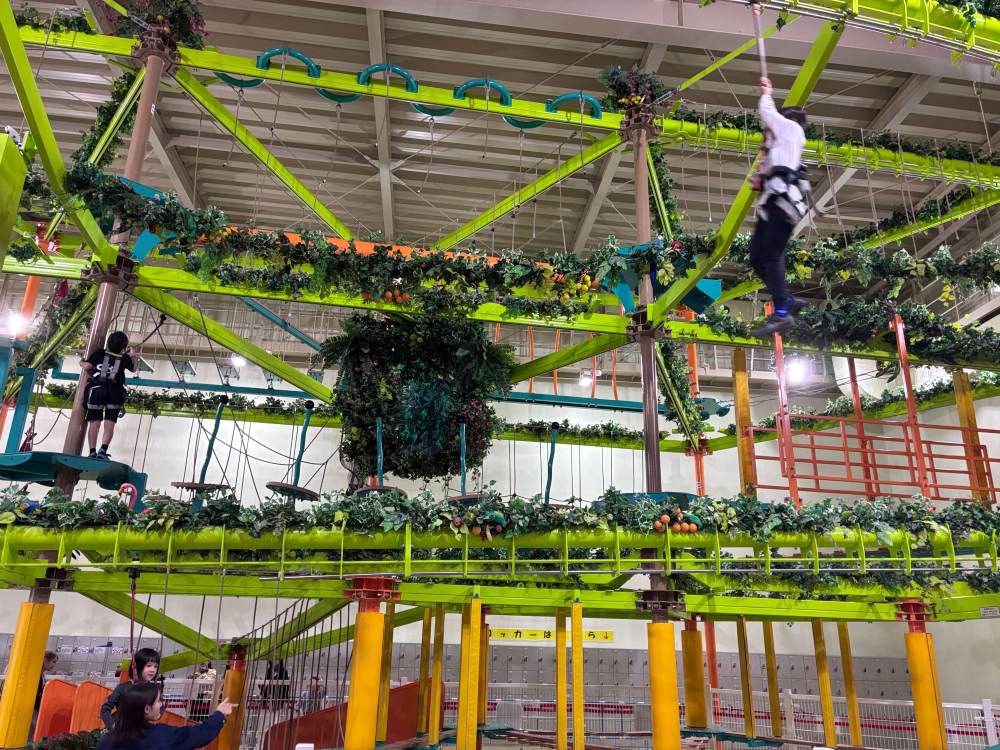 アスレチック全体像