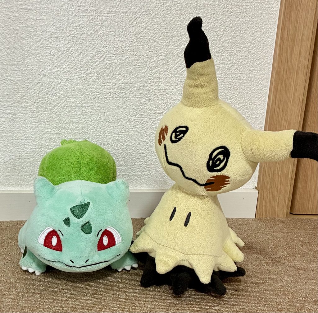大好きなポケモンの人形